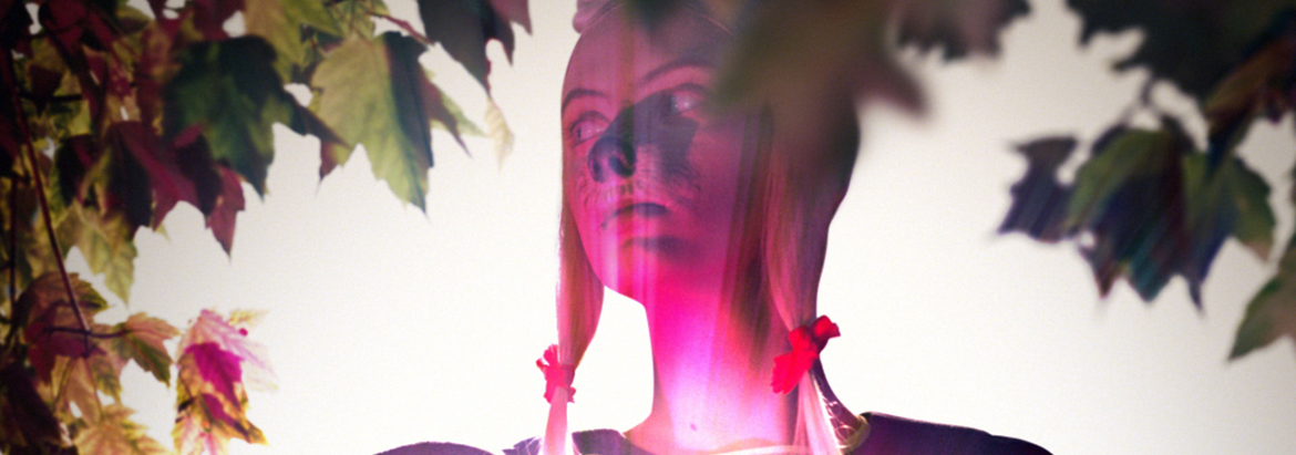 Ohlin/D 2016